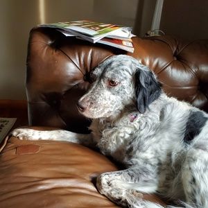 Meet your Posher, Selina